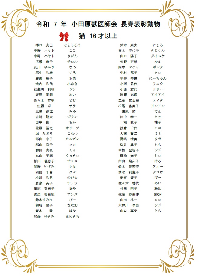 2025長寿3 2025長寿3