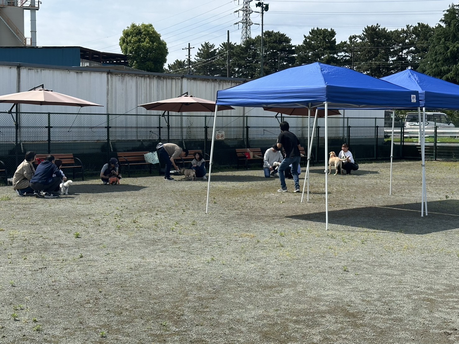 しつけ画像 1 しつけ画像 1