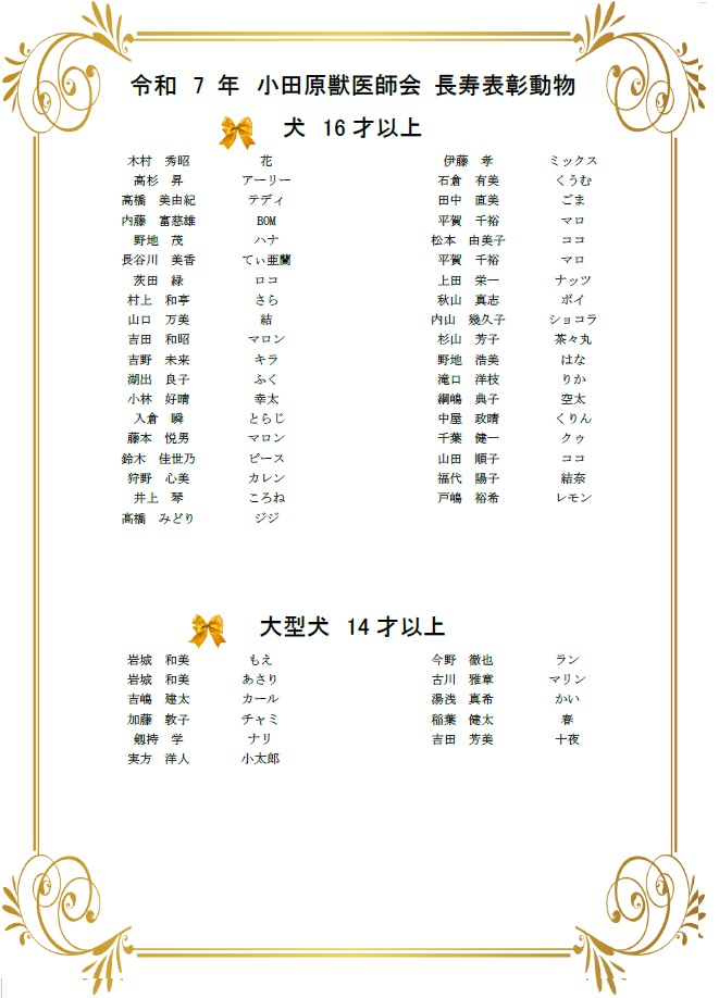 2025長寿2 2025長寿2